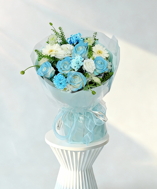 11042_sky-dream
